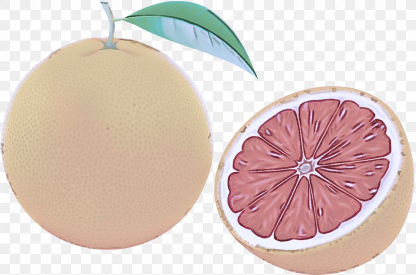 Pink Grapefruit Leaf Plant Fruit, PNG, 1024x677px, Pink, Citrus, Food, Fruit, Grapefruit Download Free