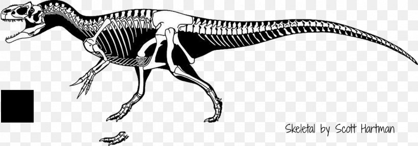 Torvosaurus Saurophaganax Allosaurus Herrerasaurus Tyrannosaurus, PNG, 1278x448px, Torvosaurus, Allosaurus, Black And White, Carnivore, Coelurosauria Download Free