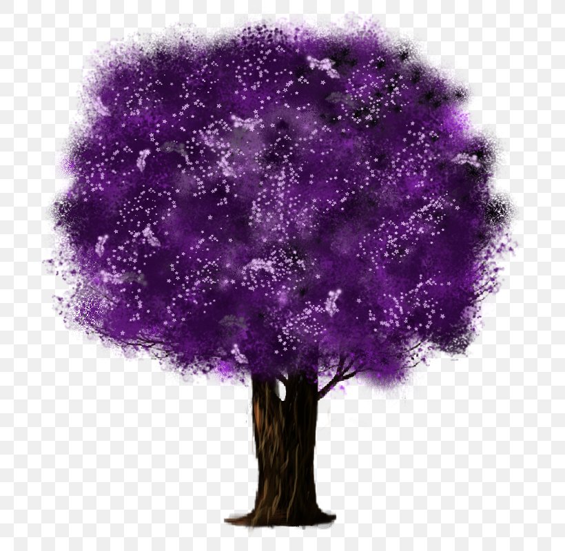 Tree Shrub, PNG, 800x800px, Tree, Lilac, Plant, Purple, Shrub Download Free