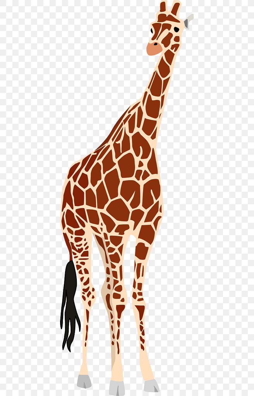 Giraffe Clip Art, PNG, 640x1280px, Giraffe, Drawing, Fauna, Giraffidae, Mammal Download Free