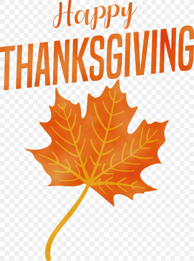Leaf Maple Leaf / M Tree Line Font, PNG, 2231x2999px, Happy Thanksgiving, Biology, Flower, Geometry, Leaf Download Free