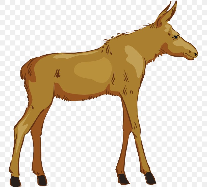 Moose Free Content Clip Art, PNG, 750x740px, Moose, Cartoon, Colt, Deer, Donkey Download Free