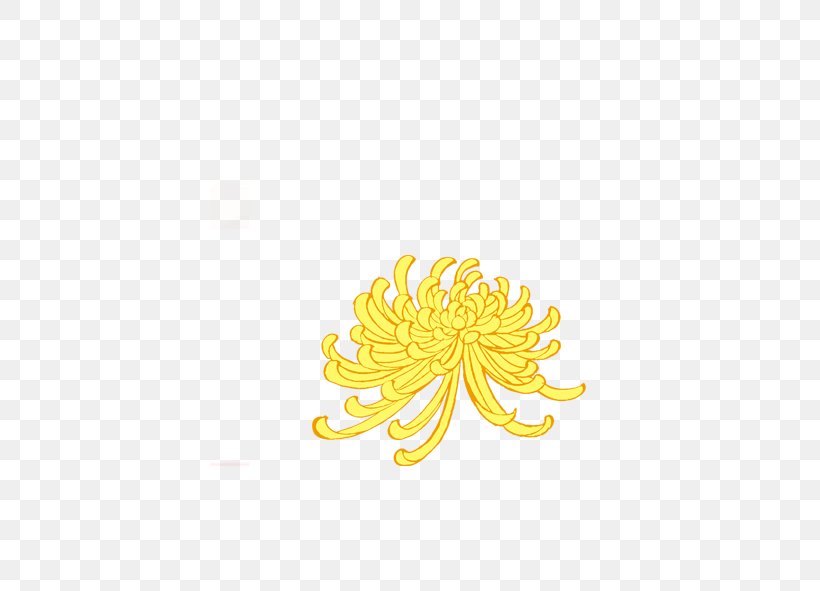 Petal Yellow Pattern, PNG, 591x591px, Petal, Flower, Symmetry, Yellow Download Free