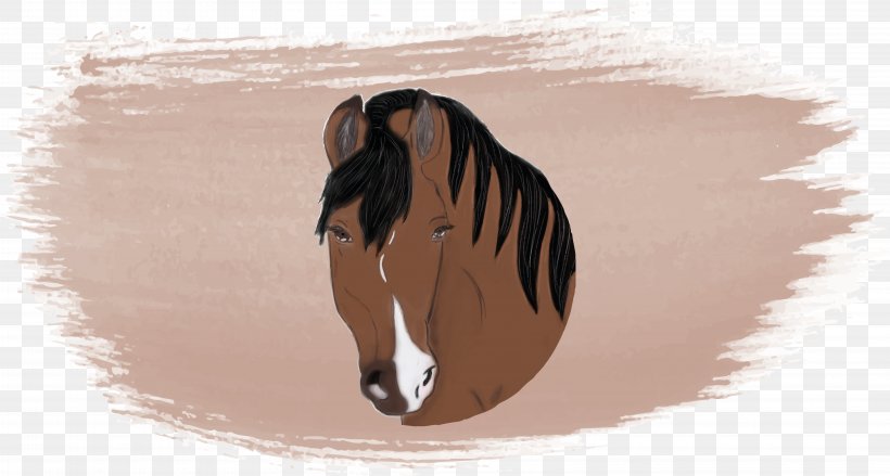 Photography Horse Watercolor Painting Art, PNG, 6328x3395px, Photography, Art, Brush, Child, Horse Download Free