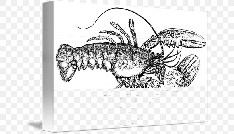 Plateau De Fruits De Mer American Lobster Palinurus Apron Seafood, PNG, 650x470px, Plateau De Fruits De Mer, American Lobster, Animal Source Foods, Apron, Black And White Download Free