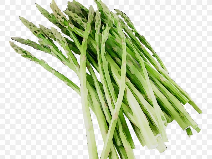 Asparagus Vinaigrette Vegetable Recipe Cooking, PNG, 1125x844px, Asparagus, Baby Corn, Chinese Celery, Chives, Cooking Download Free