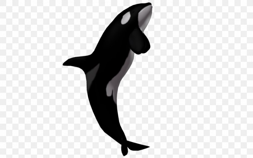Dolphin Killer Whale Clip Art Desktop Wallpaper, PNG, 1024x639px, Dolphin, Baleen Whale, Black, Black And White, Blowhole Download Free