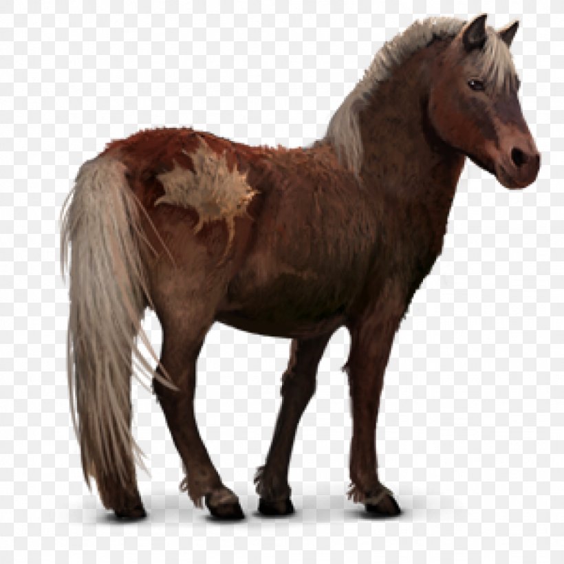 Sable Island Horse Barb Horse Pony Howrse Mustang, PNG, 1024x1024px, Sable Island Horse, Animal, Animal Figure, Arabian Horse, Barb Horse Download Free