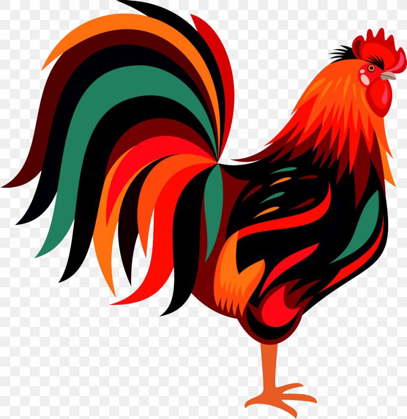 Red Color Big Cock, PNG, 969x1000px, Rooster, Beak, Bird, Chicken, Comb Download Free