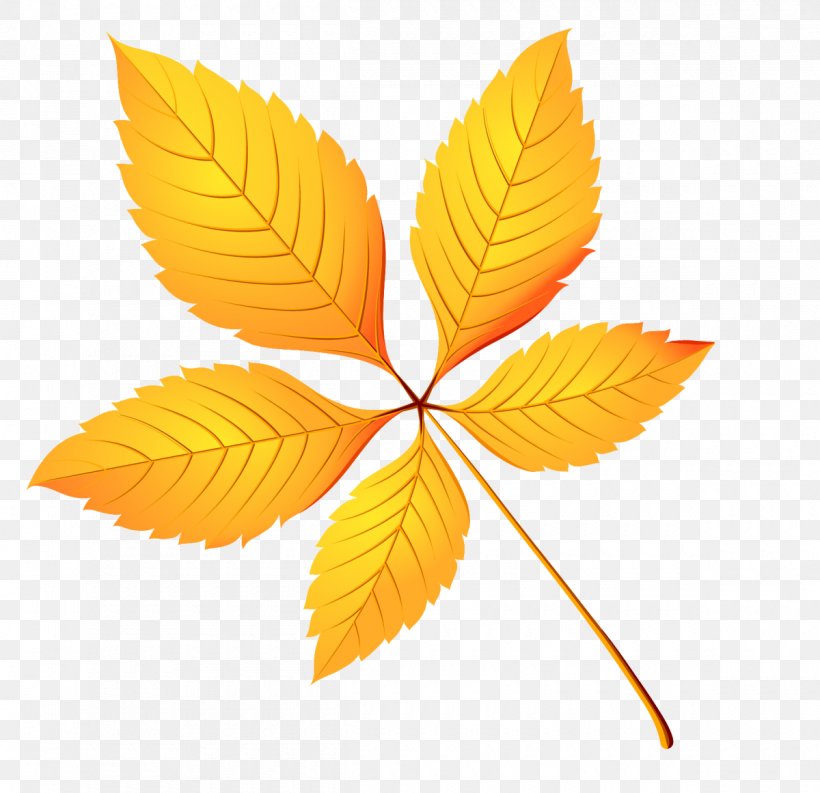 Autumn Leaf Color Clip Art, PNG, 1200x1161px, Autumn, Autumn Leaf Color, Color, Drawing, Leaf Download Free