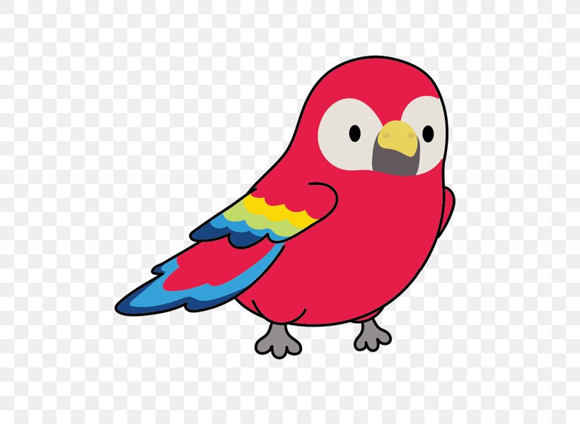 Bird Cartoon Parrot Beak Parakeet, PNG, 600x600px, Bird, Beak, Budgie, Cartoon, Macaw Download Free