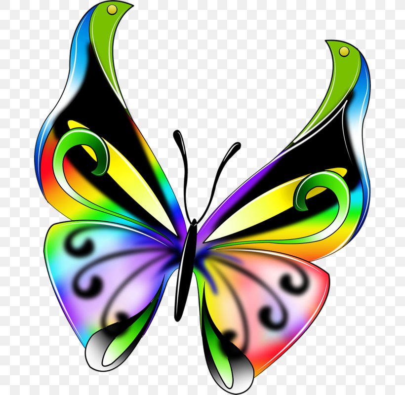 Butterfly Insect Color Drawing Clip Art, PNG, 682x800px, Butterfly, Art, Arthropod, Body Jewelry, Brush Footed Butterfly Download Free