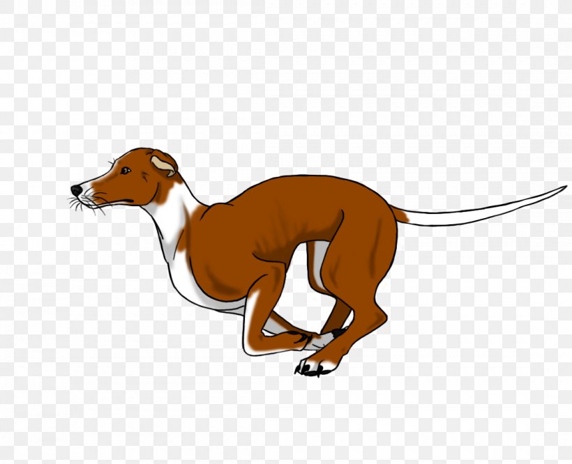 Whippet Italian Greyhound Azawakh Spanish Greyhound, PNG, 1107x900px, Whippet, Animal, Animal Figure, Azawakh, Breed Download Free