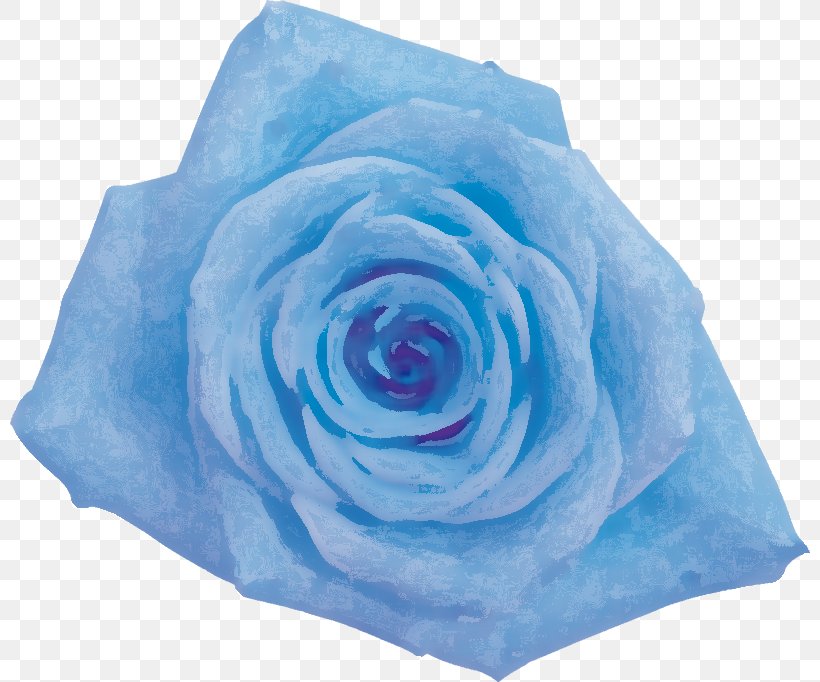 Blue Rose Garden Roses Cabbage Rose Cut Flowers, PNG, 800x682px, Blue Rose, Blue, Cabbage Rose, Cut Flowers, Flower Download Free