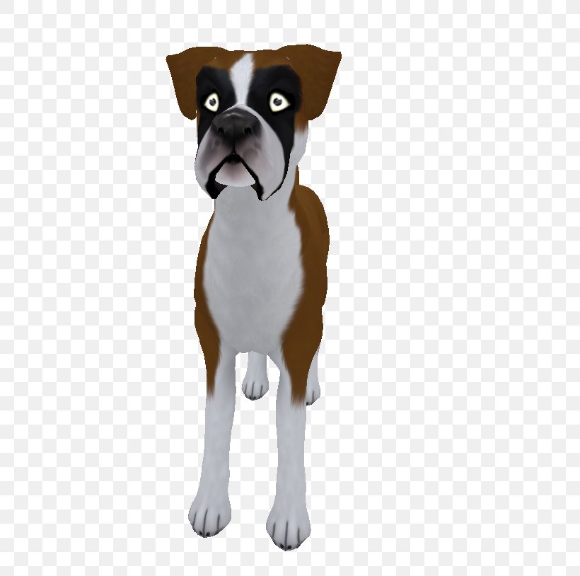 Boston Terrier Boxer Puppy Dog Breed Companion Dog, PNG, 517x814px, Boston Terrier, Boxer, Breed, Carnivoran, Companion Dog Download Free