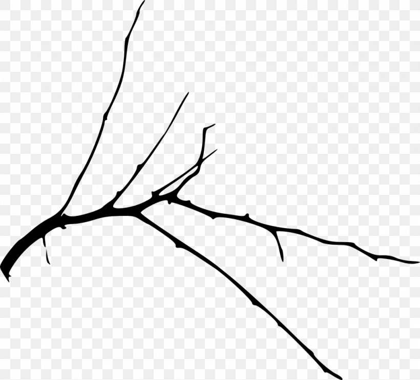 Branch Silhouette Clip Art Image, PNG, 1024x926px, Branch, Art, Blackandwhite, Botany, Drawing Download Free