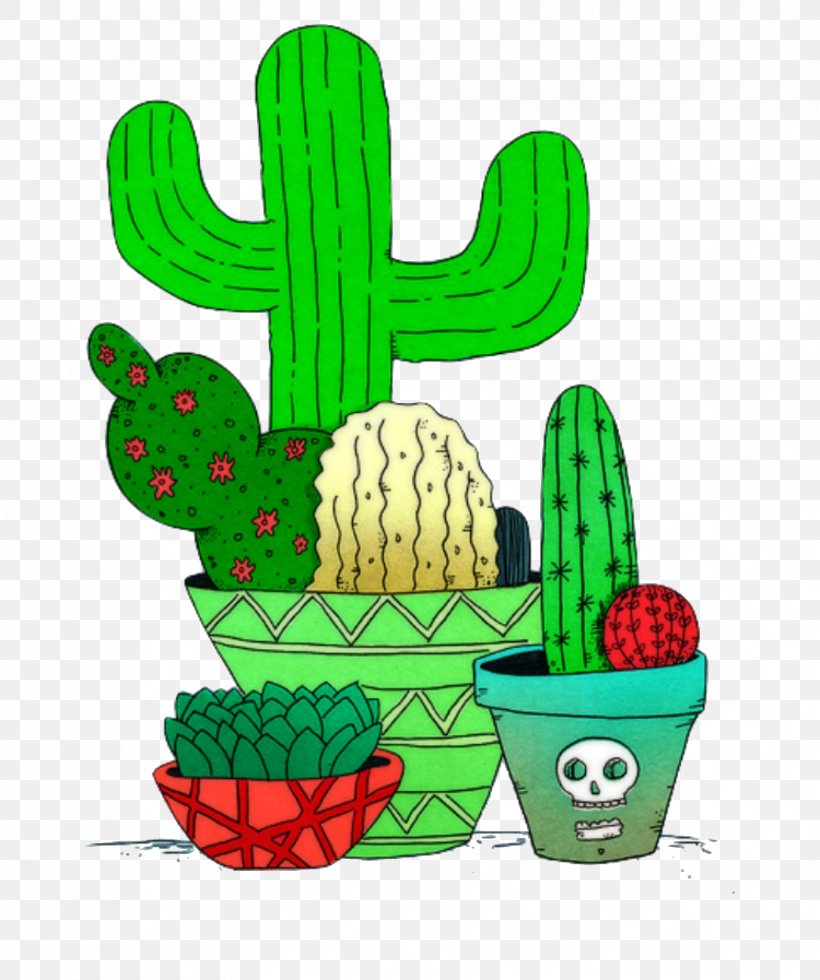 Cactus Cacti And Succulents Succulent Plant Image Floral Illustrations, PNG, 1713x2048px, Cactus, Barbary Fig, Cacti And Succulents, Caryophyllales, Drawing Download Free