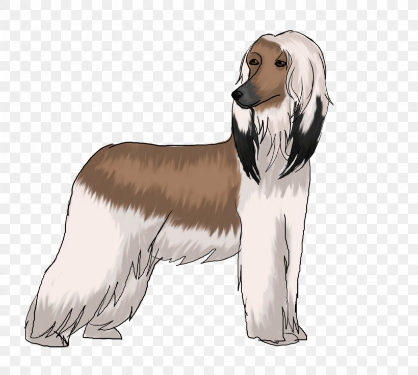 Dog Breed Saluki Afghan Hound Companion Dog Spaniel, PNG, 1024x921px, Dog Breed, Afghan Hound, Afghanistan, Breed, Carnivoran Download Free