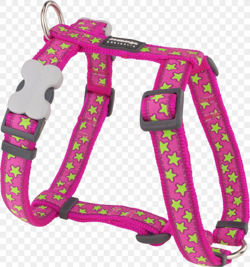 Dog Harness Dingo Pet Tag, PNG, 3000x3208px, Dog, Cat, Collar, Designerhunder, Dingo Download Free