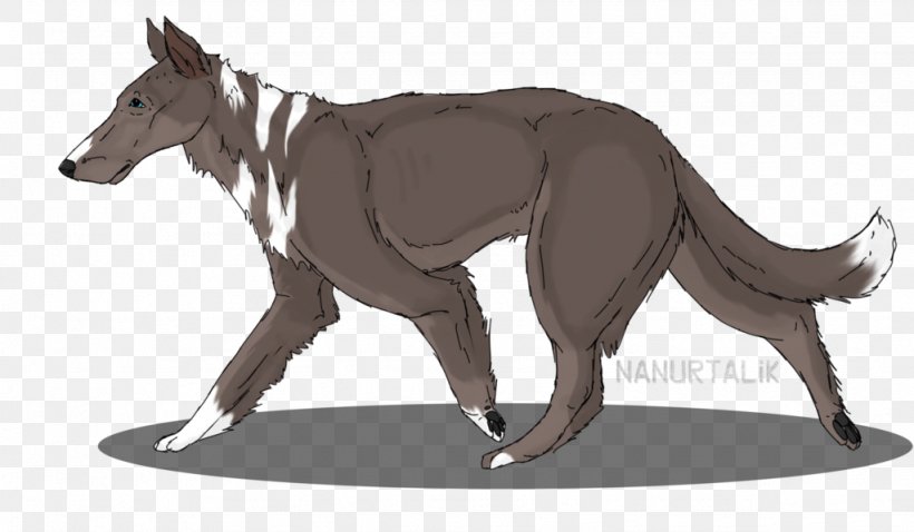 Dog Horse Macropodidae Pack Animal Character, PNG, 1024x598px, Dog, Animated Cartoon, Carnivoran, Character, Dog Like Mammal Download Free