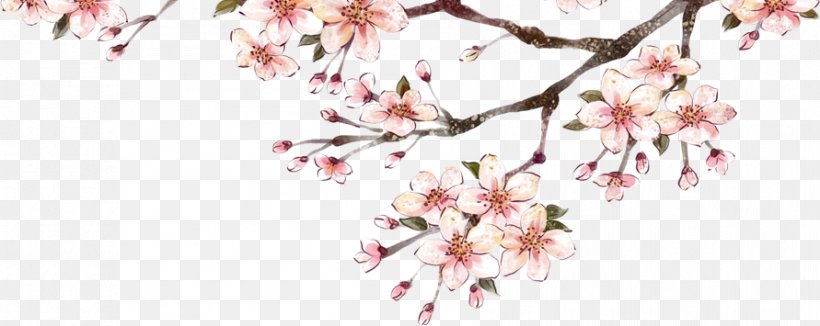 Plum Blossom Download, PNG, 891x355px, Plum Blossom, Blossom, Branch, Cherry Blossom, Cut Flowers Download Free
