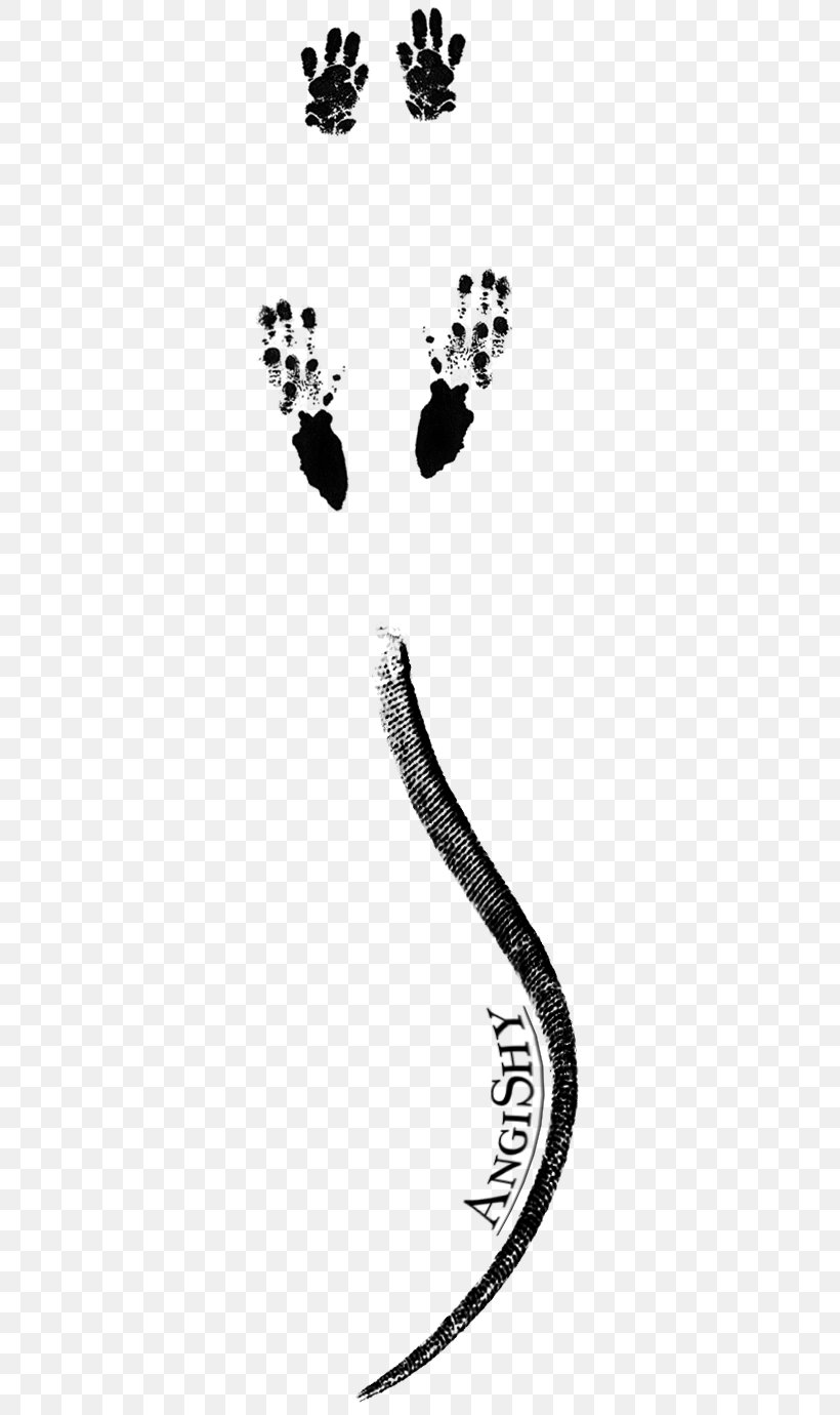 Rat Paw Mouse Animal Track Raccoon, PNG, 342x1380px, Rat, Animal, Animal Track, Art, Black Download Free