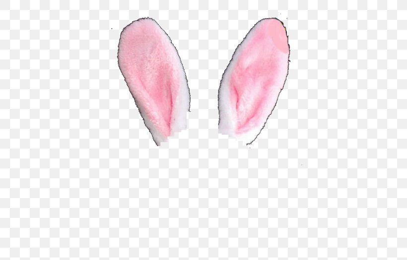 Shoe Pink M Ear, PNG, 700x525px, Shoe, Ear, Footwear, Petal, Pink Download Free