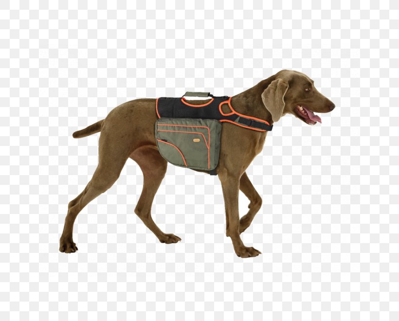 Weimaraner Backpack Dog Breed Labrador Retriever Beagle, PNG, 660x660px, Watercolor, Cartoon, Flower, Frame, Heart Download Free