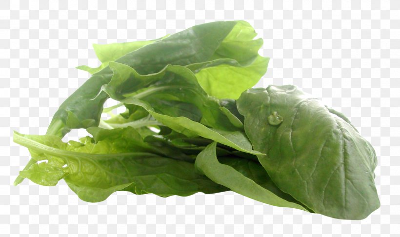 Juice Spinach Romaine Lettuce Vegetarian Cuisine Food, PNG, 1608x954px, Juice, Chard, Choy Sum, Collard Greens, Food Download Free