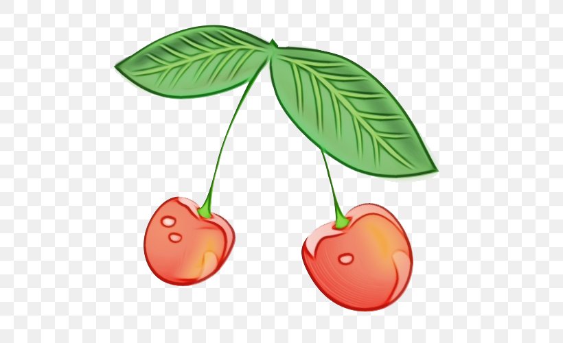 Leaf Cherry Plant Tree Fruit, PNG, 500x500px, Watercolor, Cherry, Flower, Fruit, Leaf Download Free