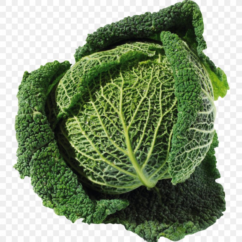 Savoy Cabbage Collard Greens Spring Greens Kale Leaf Vegetable, PNG, 1000x1000px, Savoy Cabbage, Brassica Oleracea, Cabbage, Collard Greens, Kale Download Free