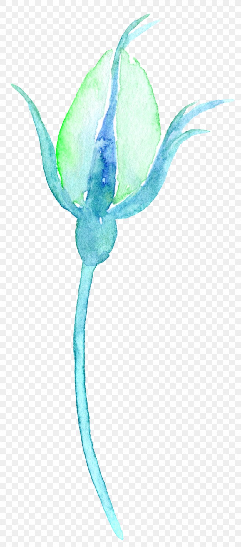 Watercolour Flowers Watercolor: Flowers Watercolor Painting, PNG, 1000x2264px, Watercolour Flowers, Aesthetics, Aqua, Beak, Bird Download Free