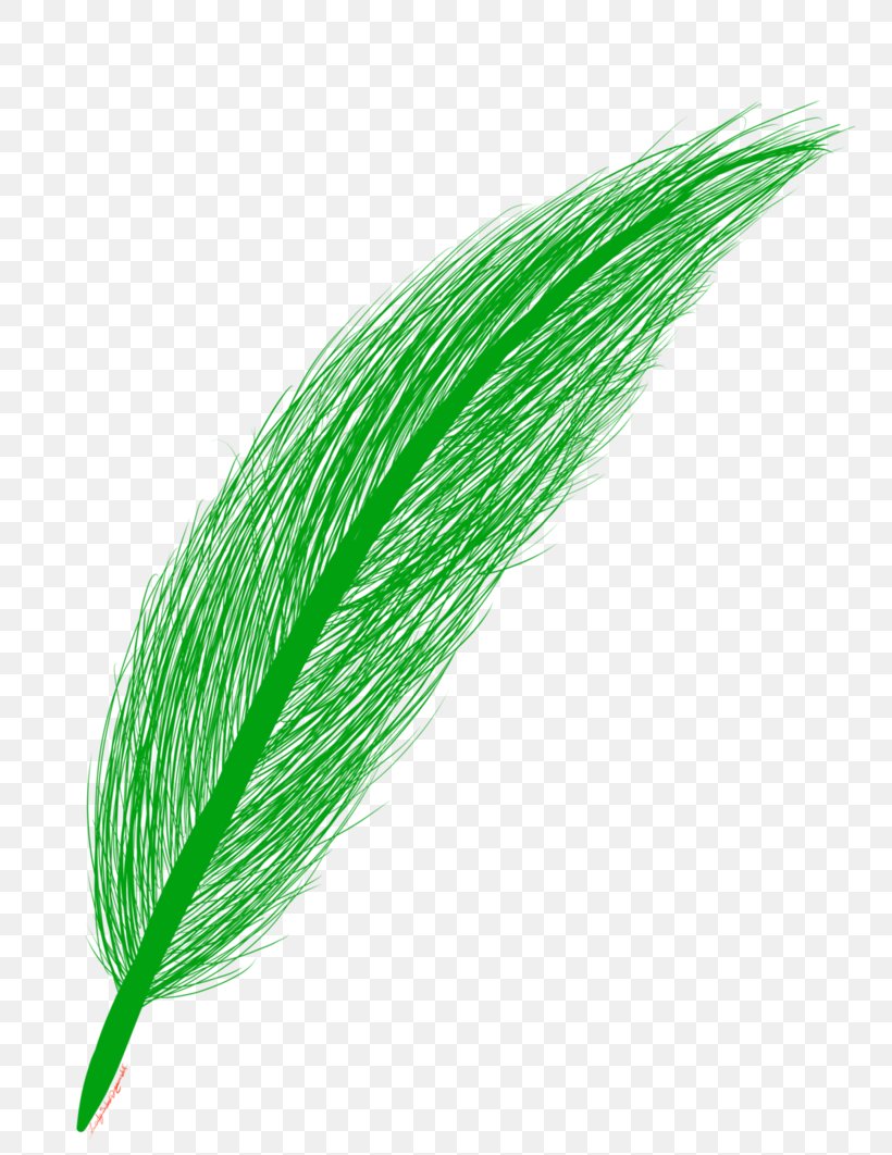 Commodity, PNG, 753x1062px, Commodity, Grass, Grass Family Download Free