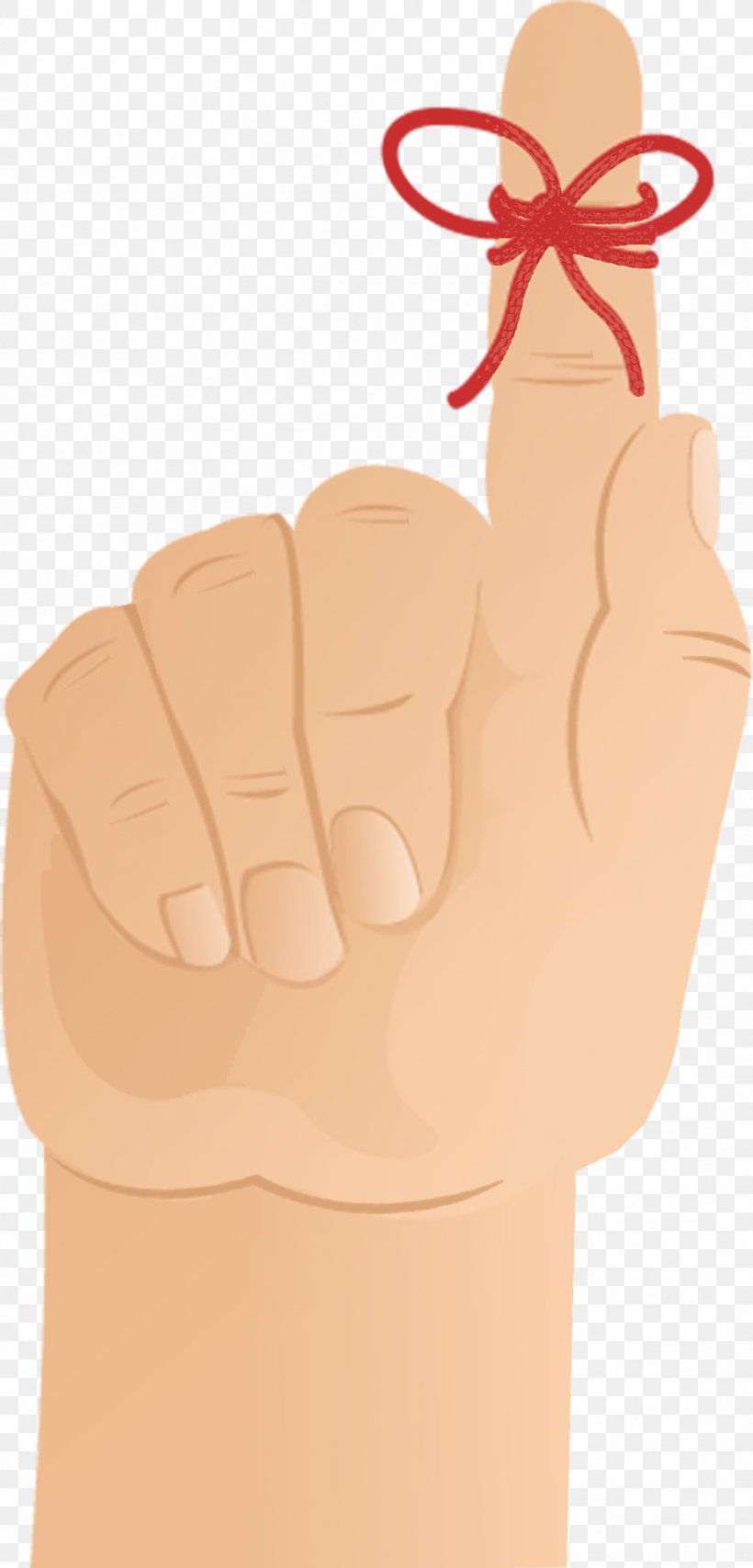 Index Finger Thumb, PNG, 922x1920px, Finger, Arm, Hand, Hand Model, Index Finger Download Free