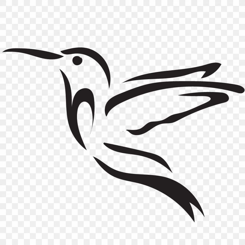 Beak Endangered Species Water Bird Phaistos, PNG, 1797x1797px, Beak, Bird, Black And White, Endangered Species, Monochrome Download Free