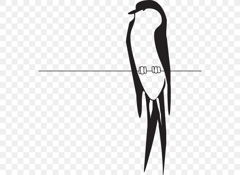 Clip Art Bird Vector Graphics Download, PNG, 558x598px, Bird, Arm, Art, Beak, Black Download Free