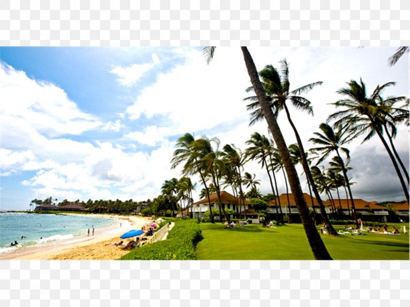 Poipu Banyan Harbor Resort Hotel Beach, PNG, 1024x768px, Poipu, Accommodation, Arecales, Banyan Harbor Resort, Bay Download Free