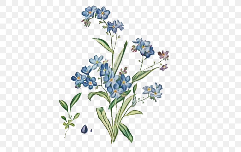Watercolor Flower Background, PNG, 551x517px, Wood Forgetmenot, Alpine Forgetmenot, Bluebonnet, Borage Family, Borages Download Free
