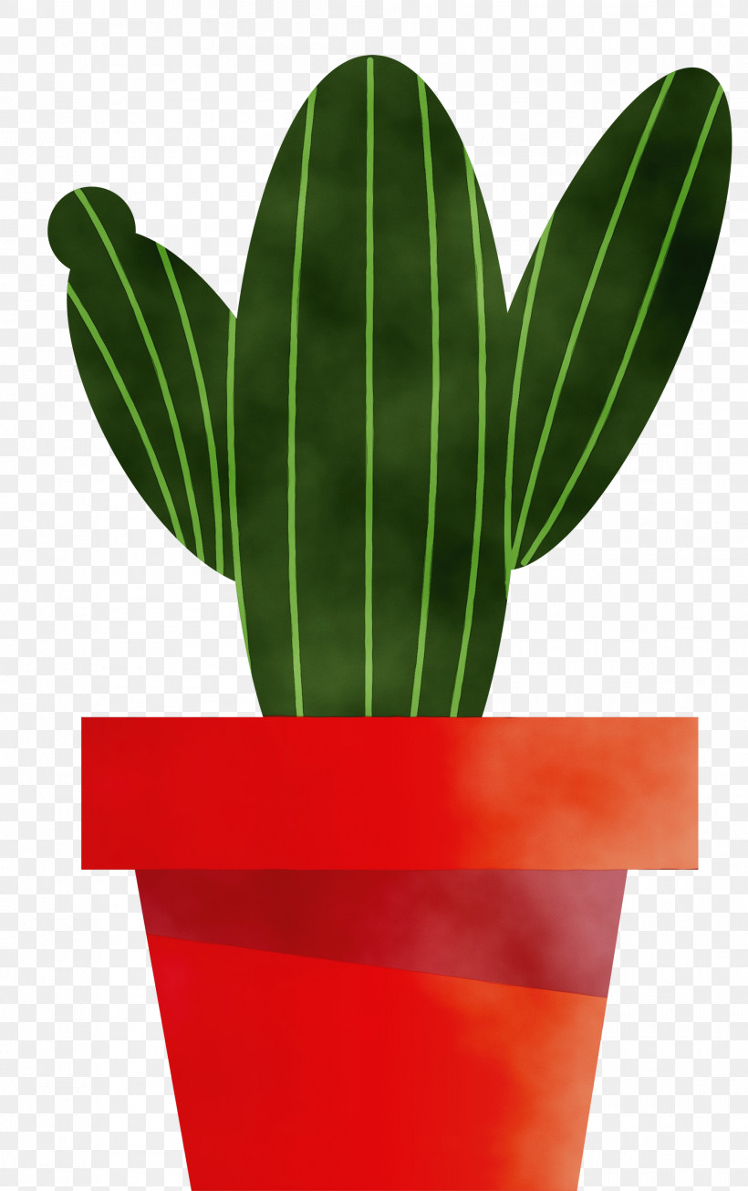 Cactus, PNG, 1885x3000px, Mexico Elements, Cactus, Drawing, Flowerpot, Leaf Download Free