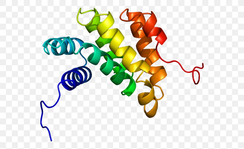 PDCD4 Protein Gene Tafazzin Oncomir, PNG, 600x503px, Watercolor, Cartoon, Flower, Frame, Heart Download Free
