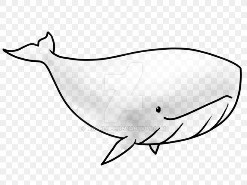 Porpoise Killer Whale Narwhal, PNG, 1024x768px, Porpoise, Animal, Artwork, Beak, Black And White Download Free