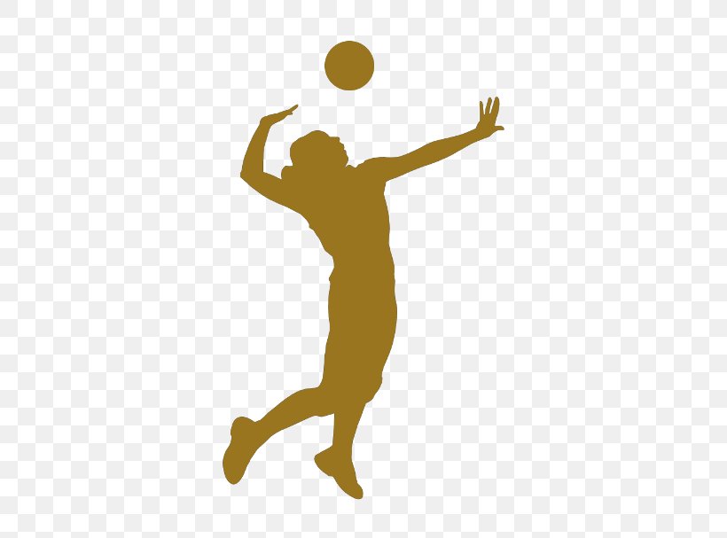 Volleyball Sport Silhouette, PNG, 450x607px, Volleyball, Arm, Art, Ball, Beach Volleyball Download Free