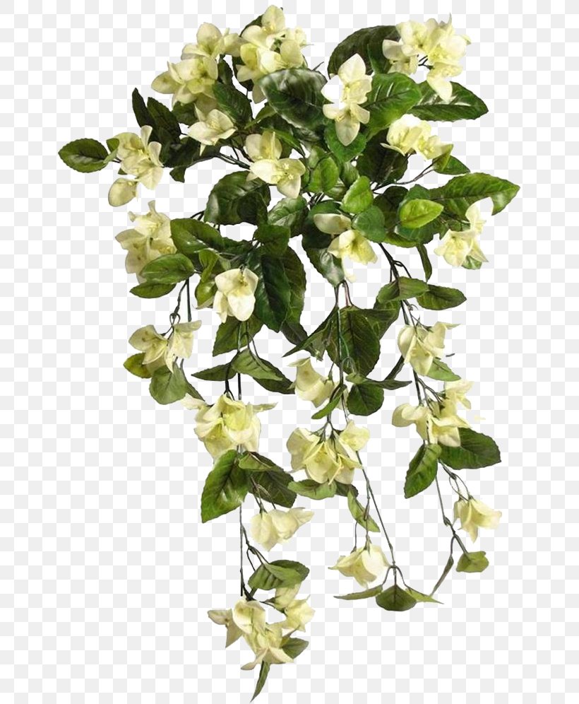 Cut Flowers Plant Stem Flowering Plant, PNG, 665x996px, Cut Flowers, Branch, Branching, Flower, Flowering Plant Download Free