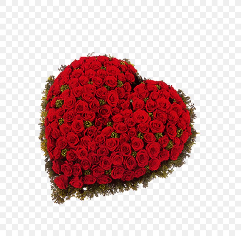 Garden Roses Red Flower Box, PNG, 800x800px, Garden Roses, Cut Flowers, Floral Design, Floristry, Flower Download Free