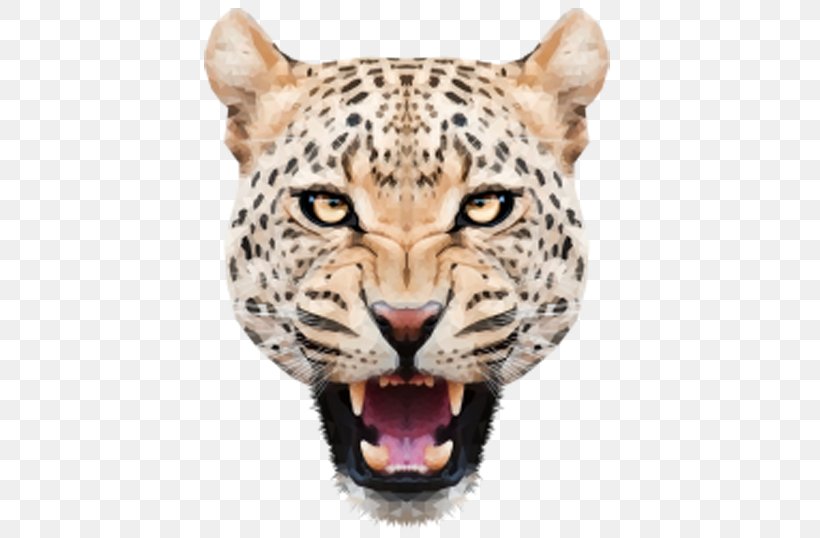 Leopard Jaguar Felidae Tiger, PNG, 600x538px, 4k Resolution, Leopard, Big Cats, Carnivoran, Cat Like Mammal Download Free