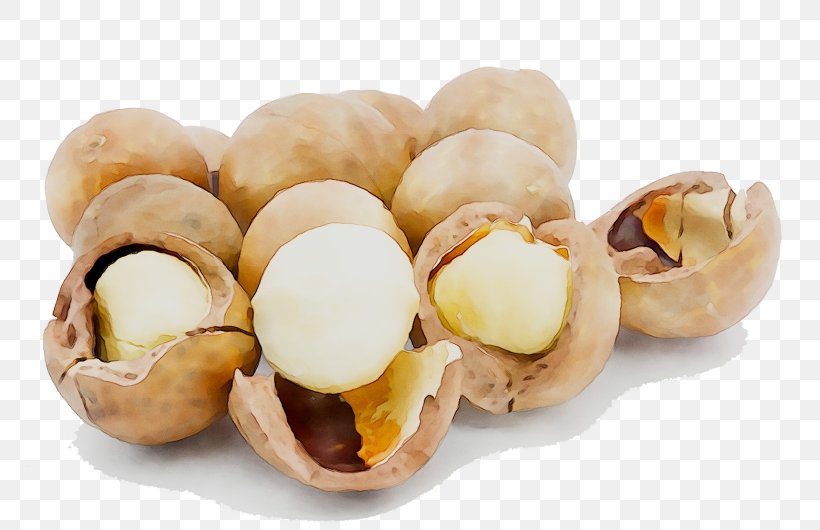 Walnut Dried Fruit Cooking Hazelnut, PNG, 1640x1060px, Walnut, Champignon Mushroom, Coffee, Cooking, Cuisine Download Free