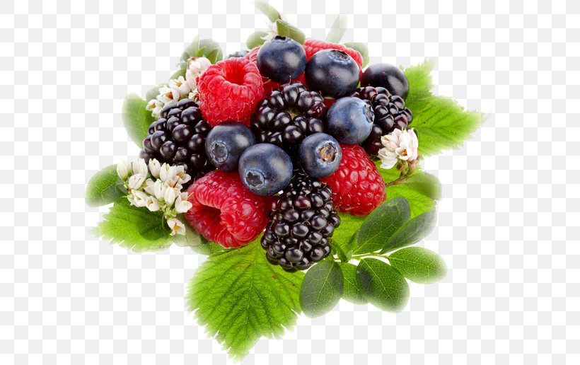 Blackberry Fruit Raspberry, PNG, 581x516px, Berry, Bilberry, Blackberry, Blueberry, Boysenberry Download Free