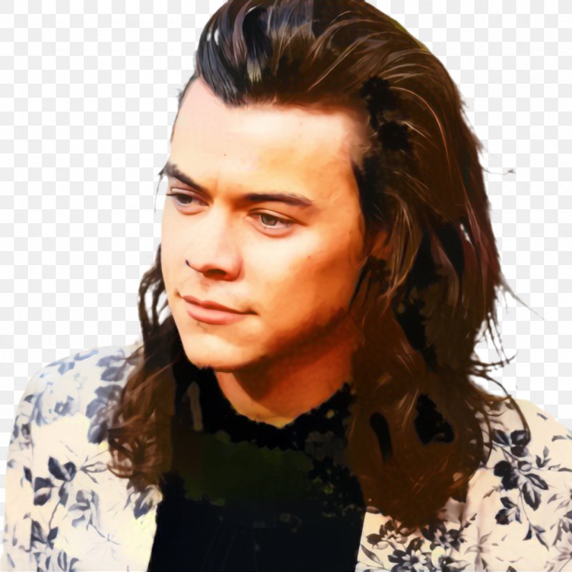Hair Logo, PNG, 1000x1000px, Harry Styles, Beauty, Black Hair, Blond, Brown Hair Download Free