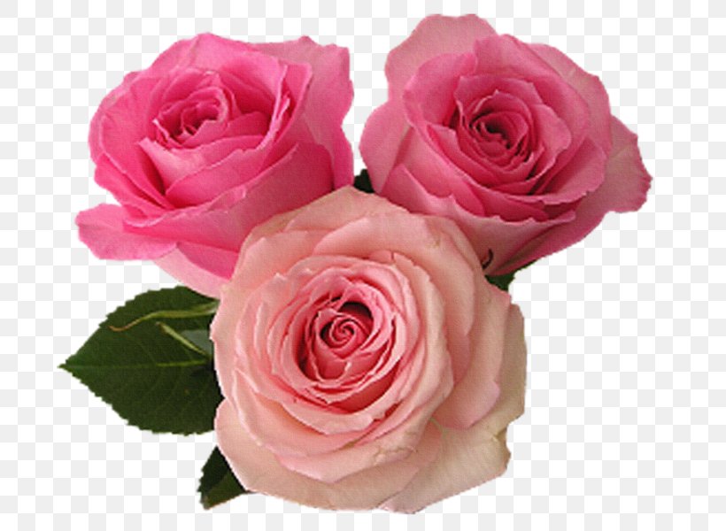 Heart Flower Love Romance, PNG, 743x600px, Heart, Artificial Flower, Cut Flowers, Floral Design, Floribunda Download Free