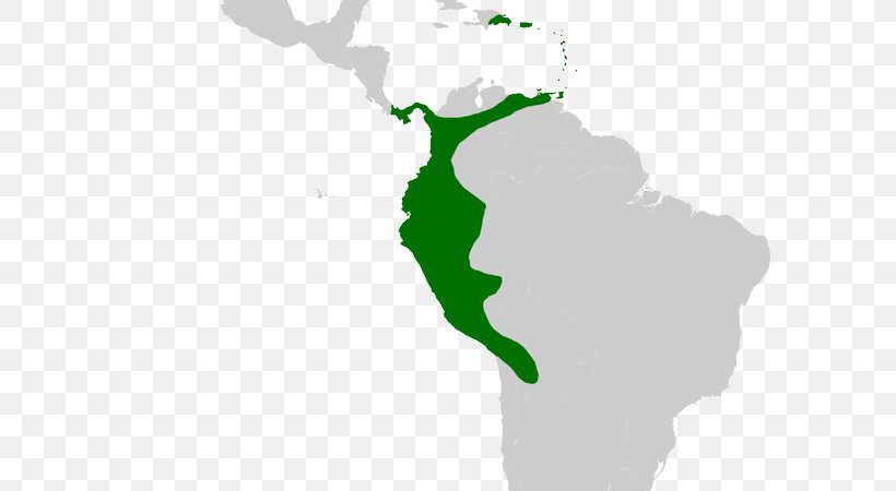 Latin America South America Spanish Colonization Of The Americas Hispanic America Region, PNG, 600x450px, Latin America, Americas, Geography, Green, Hispanic Download Free